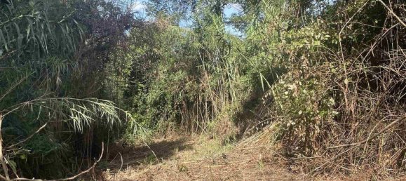  Land in Rosignano Marittimo, Italy No. 312462 8