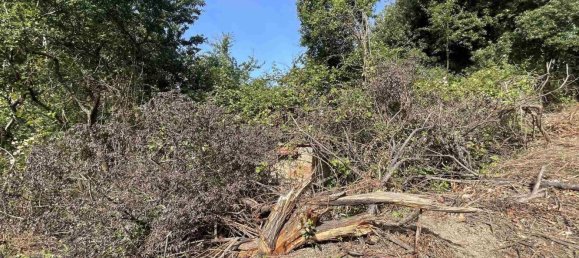  Land in Rosignano Marittimo, Italy No. 312462 7