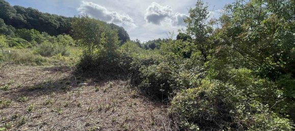  Land in Rosignano Marittimo, Italy No. 312462 3