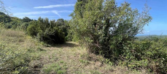  Land in Rosignano Marittimo, Italy No. 312462 4