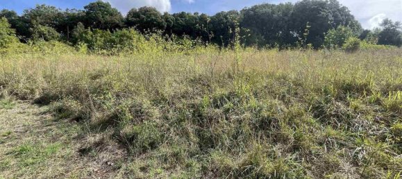  Land in Rosignano Marittimo, Italy No. 312462 14