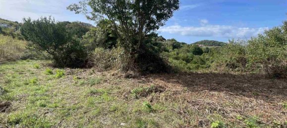  Land in Rosignano Marittimo, Italy No. 312462 2
