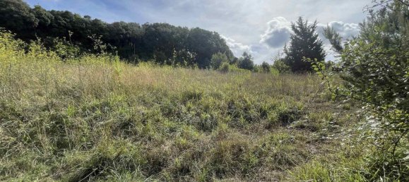  Land in Rosignano Marittimo, Italy No. 312462 5