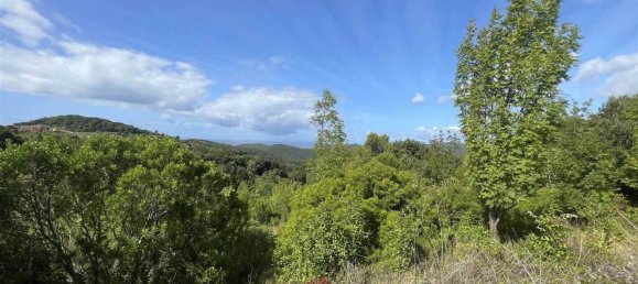  Land in Rosignano Marittimo, Italy No. 312462 17