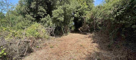  Land in Rosignano Marittimo, Italy No. 312462 11
