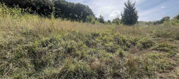 Land in Rosignano Marittimo, Italy No. 312462 15