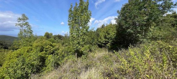  Land in Rosignano Marittimo, Italy No. 312462 18