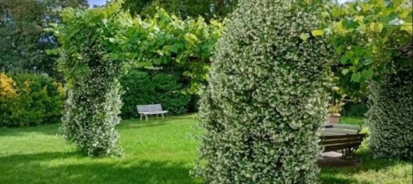 Villa de 8 divisões em Ronciglione, Italy N.º 130111 14