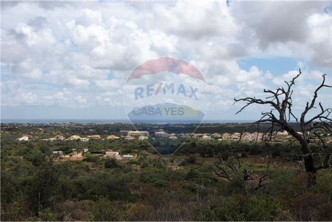 7740m² Land in Faro, Portugal No. 54969