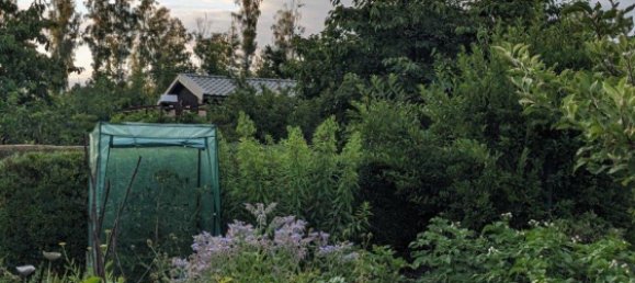 Grundstück in Marzahn, Germany, Nr. 359768 2