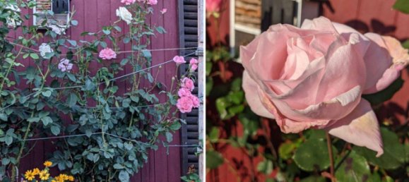 Grundstück in Marzahn, Germany, Nr. 359768 10