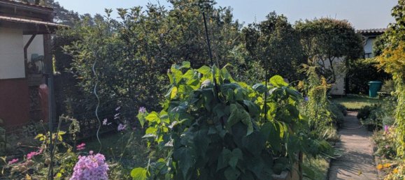 Grundstück in Marzahn, Germany, Nr. 359768 6