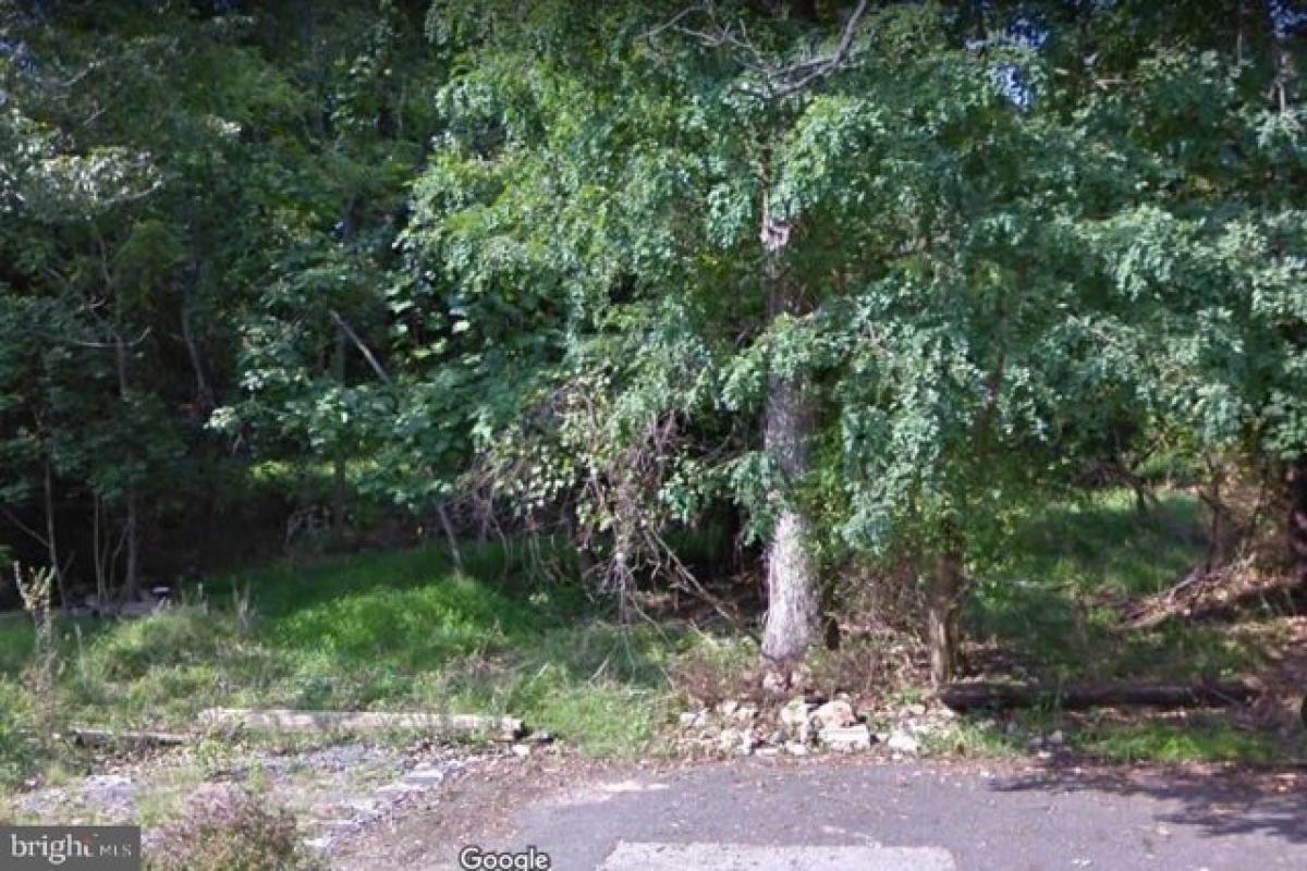  Land in Catonsville, USA No. 482819