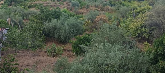 Villa de 4 habitaciónes en Santa Venerina, Italy No. 278351 29