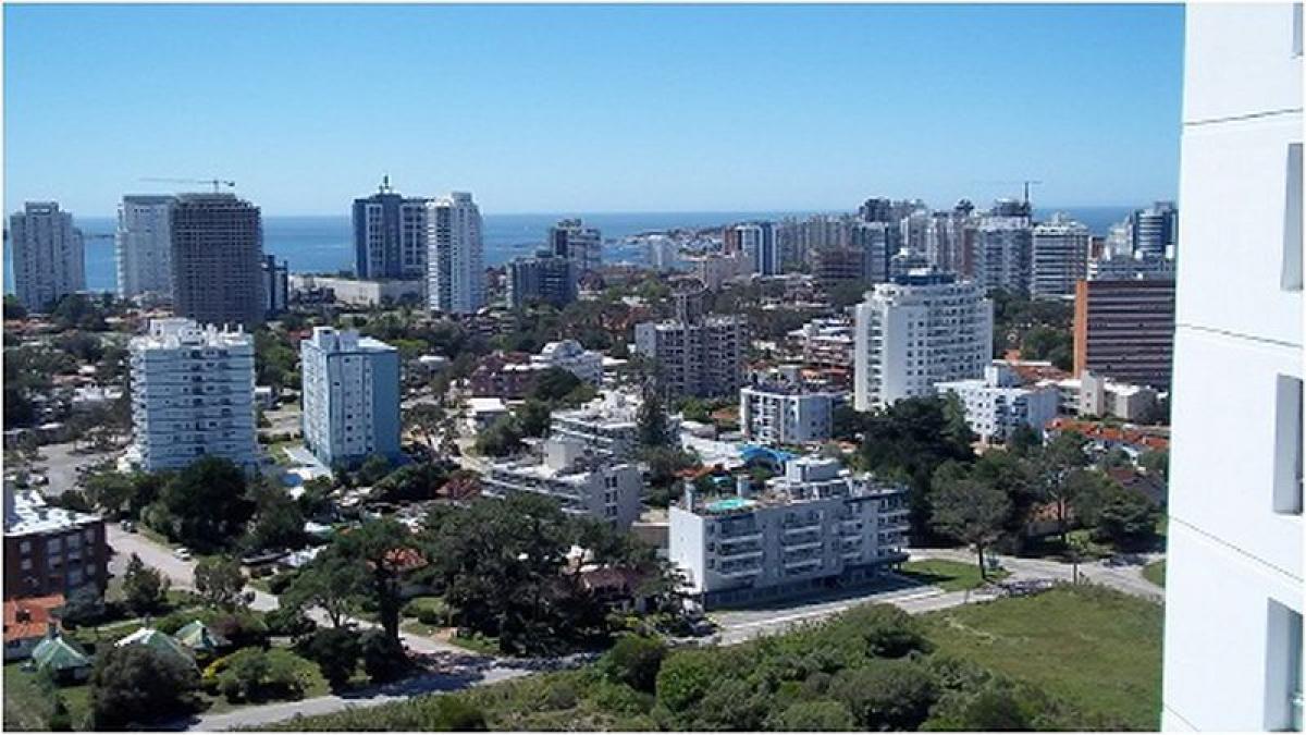 Studio in Maldonado, Uruguay No. 6865