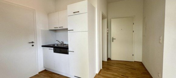 2-Zimmer Wohnung in Ries, Austria, Nr. 169250 4