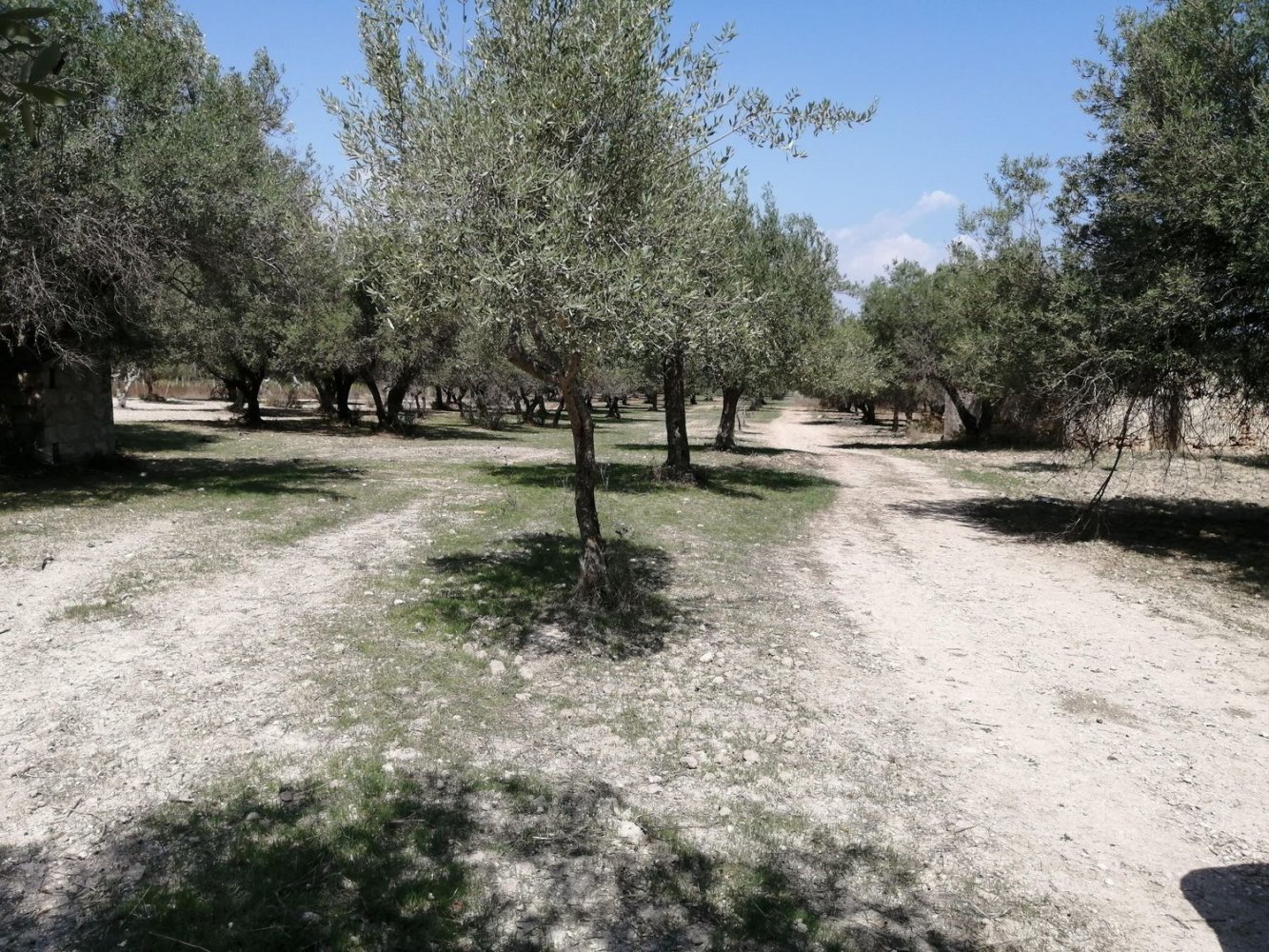 Terreno en Noto, Italy 4500 m² No. 59685