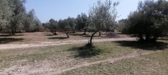Terreno en Noto, Italy 4500 m² No. 59685 4