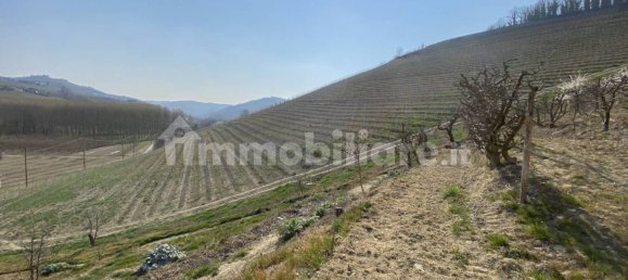 5 غرف نوم منزل في Neive, Italy رقم 166403 11