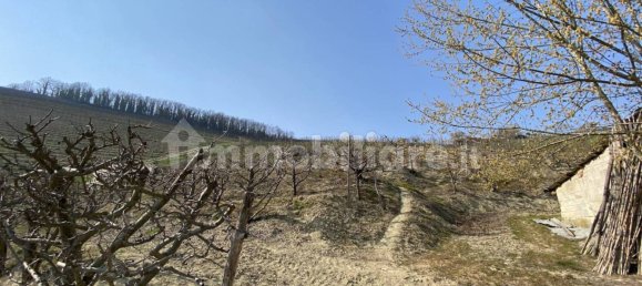 5 غرف نوم منزل في Neive, Italy رقم 166403 12