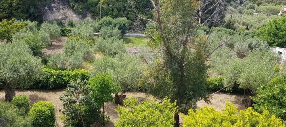 4 غرف نوم عقار تجاري في Chalkidiki, Greece رقم 4907 18