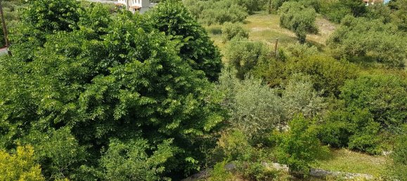 4 غرف نوم عقار تجاري في Chalkidiki, Greece رقم 4907 19