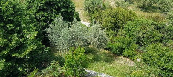 4 غرف نوم عقار تجاري في Chalkidiki, Greece رقم 4907 21