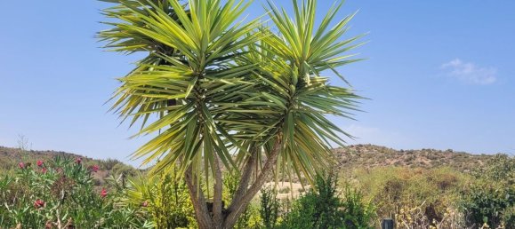 3 bedrooms Villa in Arboleas, Spain No. 169951 41