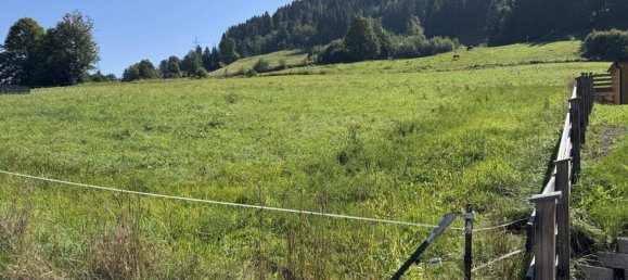 Grundstück in Kaprun, Austria, Nr. 223889 2