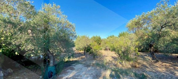 5 rooms Villa in Bitonto, Italy No. 24999 12