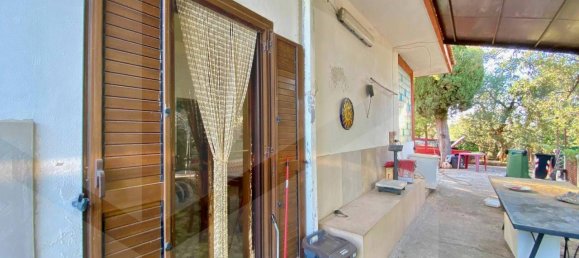 5 rooms Villa in Bitonto, Italy No. 24999 8