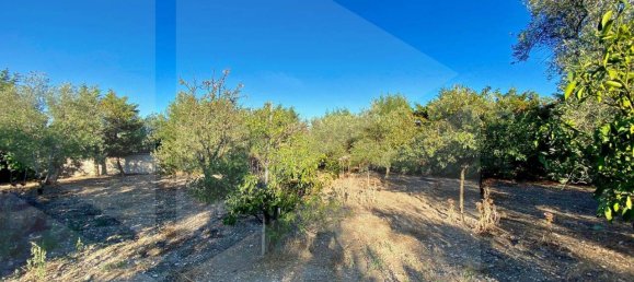 5 rooms Villa in Bitonto, Italy No. 24999 13