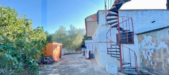 5 rooms Villa in Bitonto, Italy No. 24999 15
