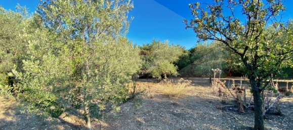 5 rooms Villa in Bitonto, Italy No. 24999 14