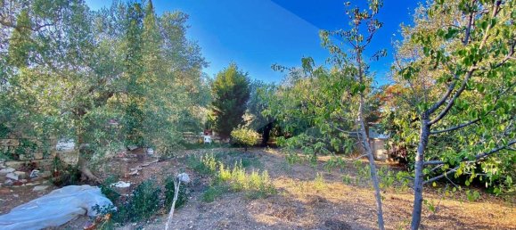 5 rooms Villa in Bitonto, Italy No. 24999 16