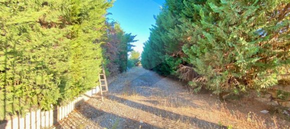 5 rooms Villa in Bitonto, Italy No. 24999 37