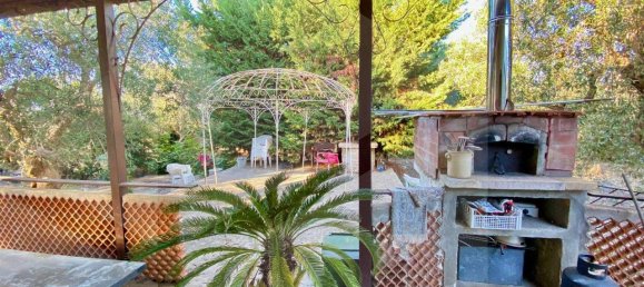 5 rooms Villa in Bitonto, Italy No. 24999 7