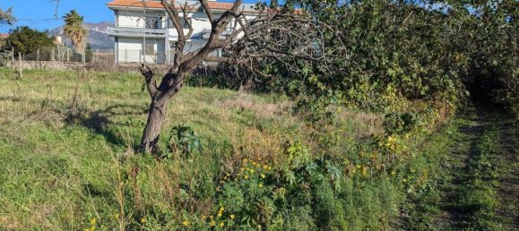 1 room Land in Torre Annunziata, Italy No. 31927 9