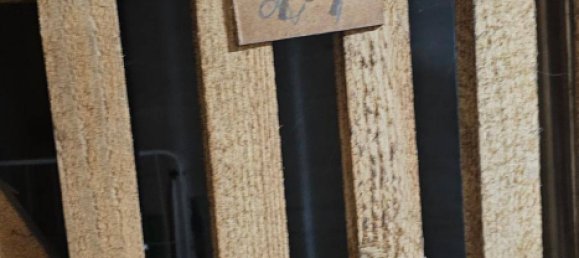 Estudio en Linz, Austria No. 161031 12