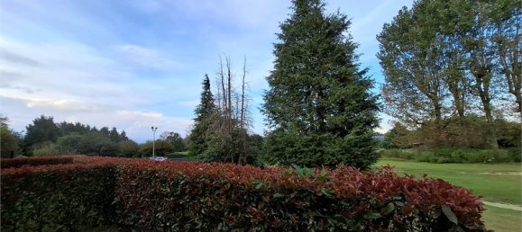 1 غرف نوم شقة في Borgo Ticino, Italy رقم 363352 10