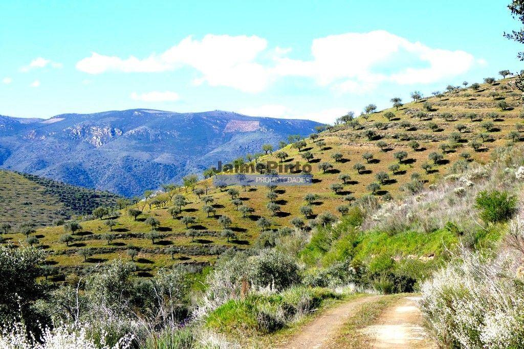 95000m² Land in Escalhao, Portugal No. 249987