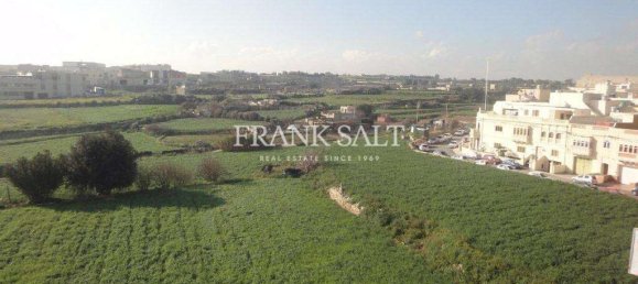 350m² Shophouse in Qormi, Malta No. 12873 6