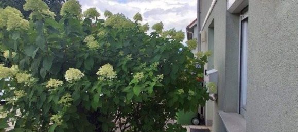 Таунхаус с 4 комнатами в Дойч-Ваграм, Австрия № 198460 28