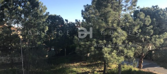 6 bedrooms Villa in Quarteira, Portugal No. 15991 21