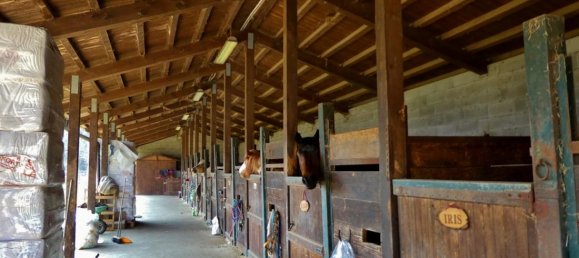 8 rooms House in Isola Vicentina, Italy No. 21883 14