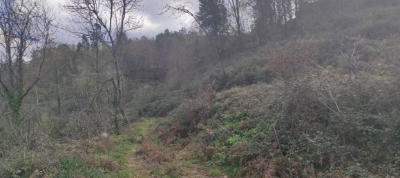 Земельный участок 10000м² в Кампу ду Жереш, Португалия № 79720 5