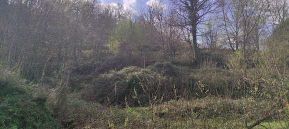 Земельный участок 10000м² в Кампу ду Жереш, Португалия № 79720 7