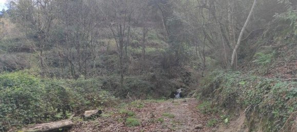 Земельный участок 10000м² в Кампу ду Жереш, Португалия № 79720 6