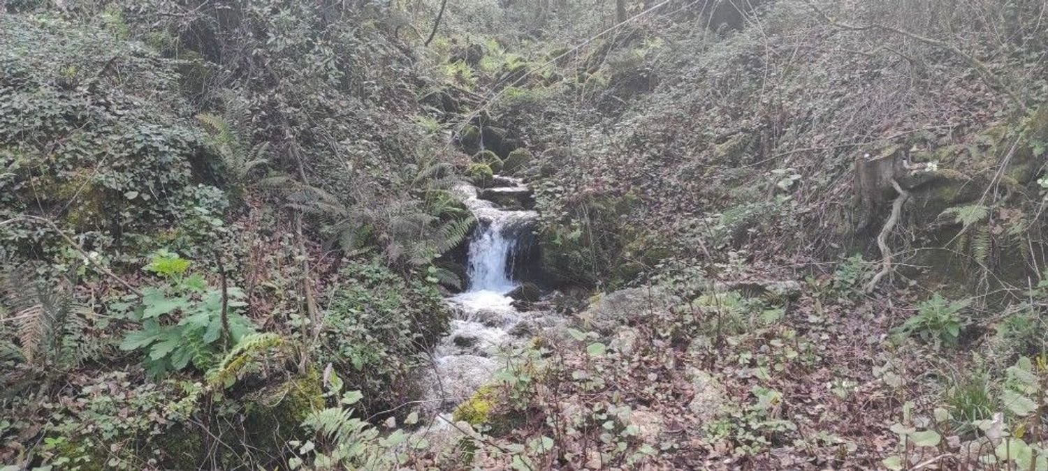 Земельный участок 10000м² в Кампу ду Жереш, Португалия № 79720