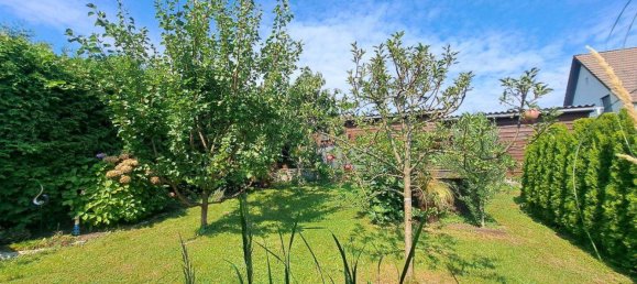 4 rooms Apartment in Koflach, Austria No. 245100 22